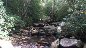montreatcreek